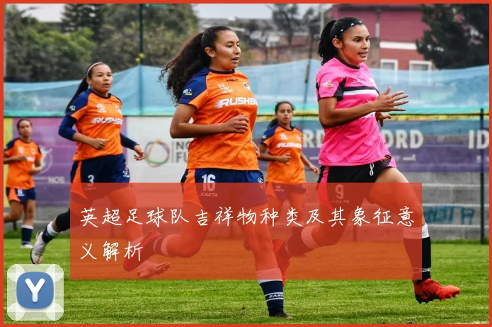 英超足球队吉祥物种类及其象征意义解析