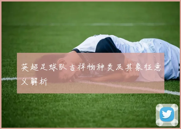 英超足球队吉祥物种类及其象征意义解析