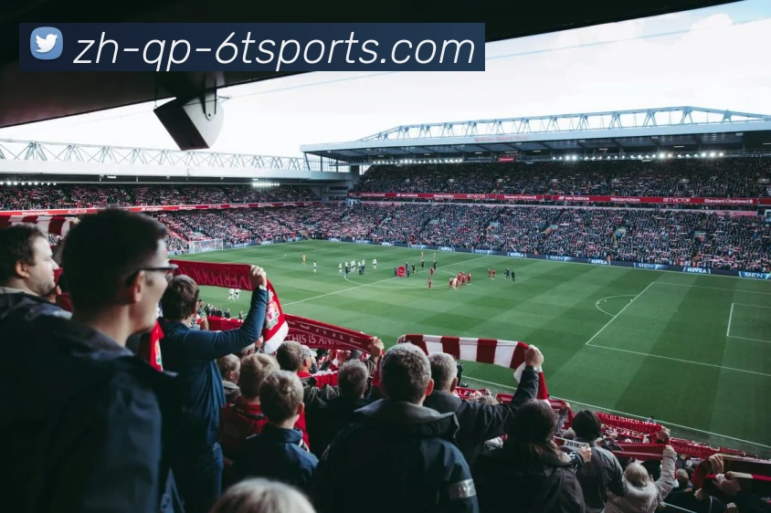 6T体育发展历程